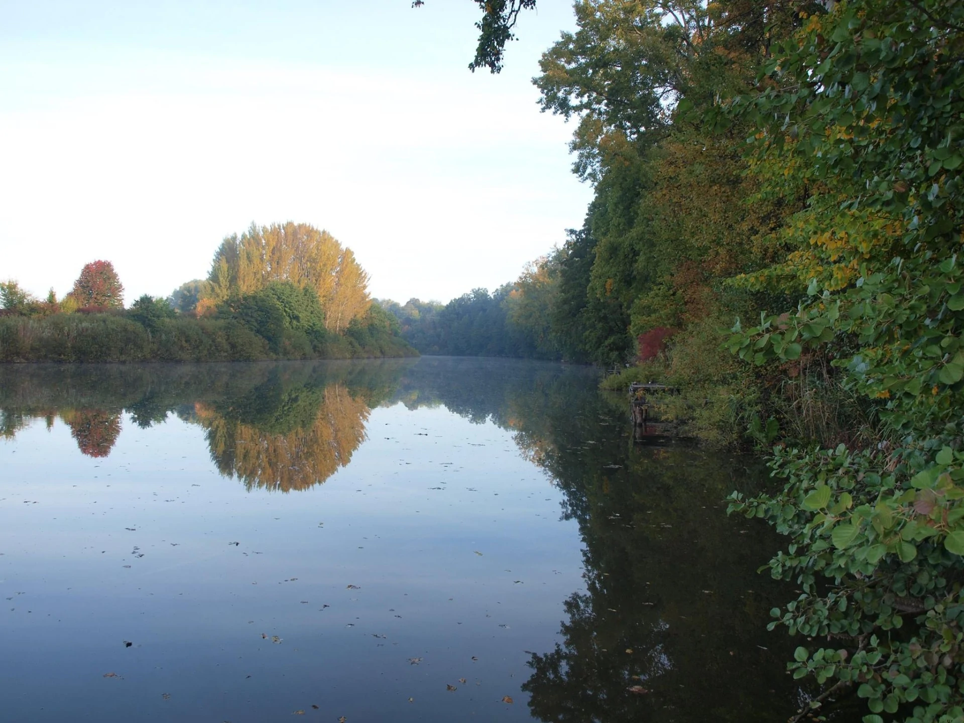 Nagy-Bók holtág:(14-021-1-1 víztérkód)