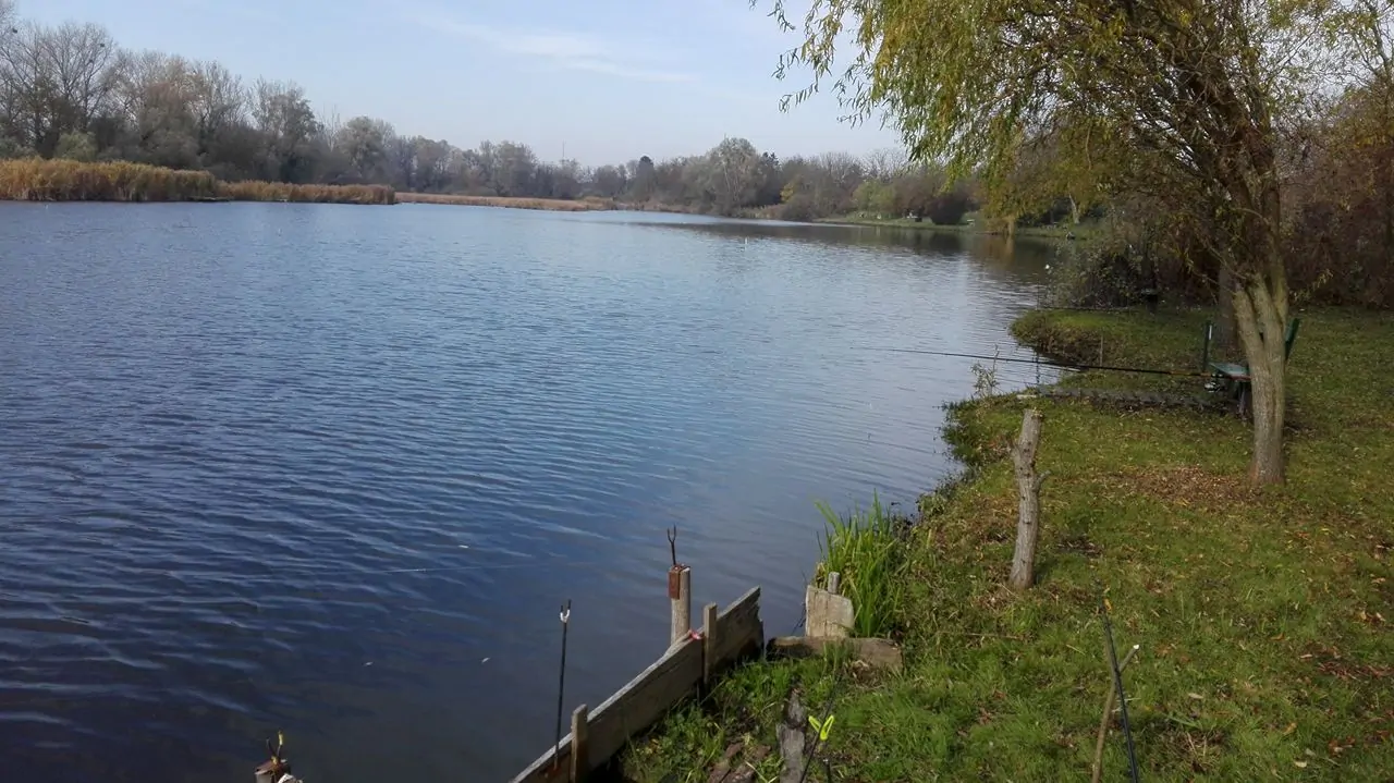 Bolhó tőzegtó: (14-007-1-1 víztérkód)