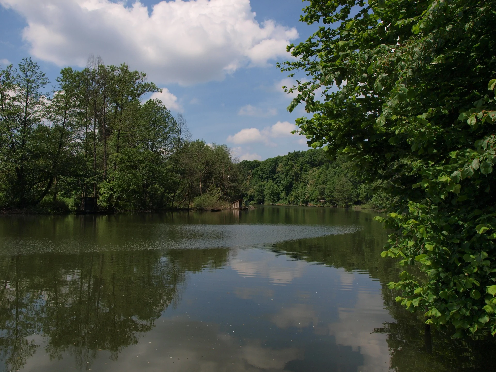 Horgászvizek : Kis-Bók holtág (14-038-1-1 víztérkód)