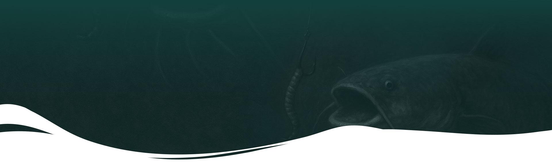 Dráva Horgászbolt és webáruház