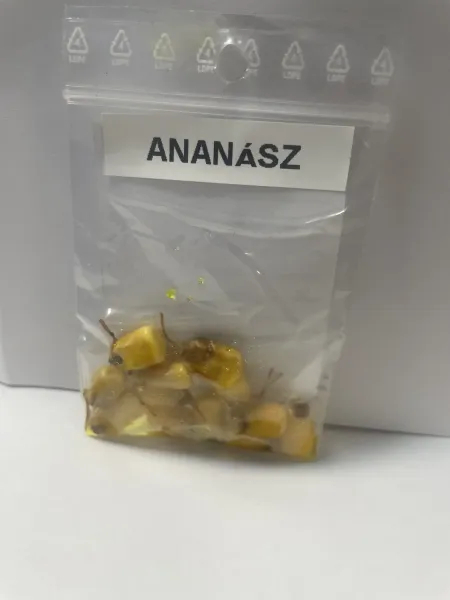 ANANÁSZ ANANÁSZ