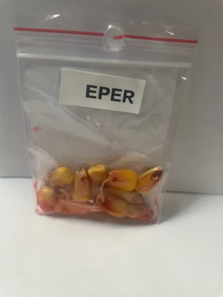 EPER