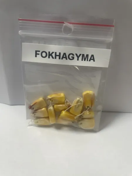 FOKHAGYMA
