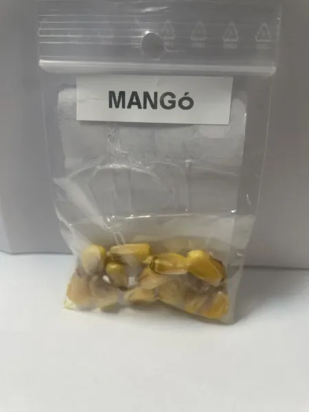 MANGÓ MANGÓ
