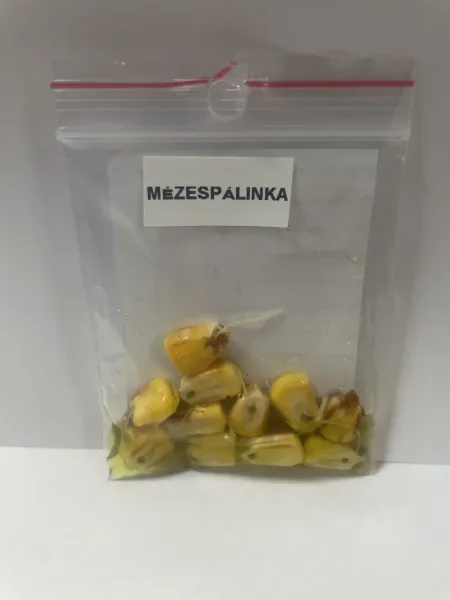 MÉZESPÁLINKA