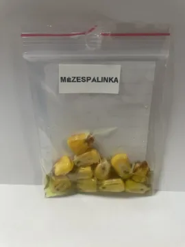 MÉZESPÁLINKA
