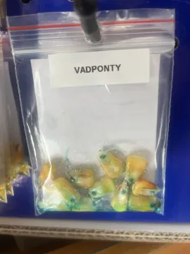 VADPONTY