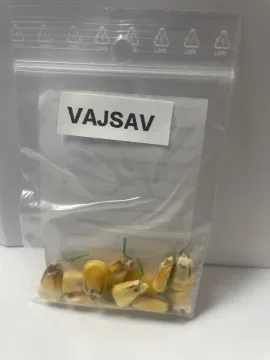 VAJSAV VAJSAV